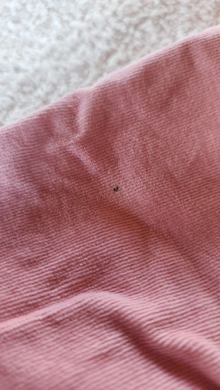 Pantalon - photo numéro 5