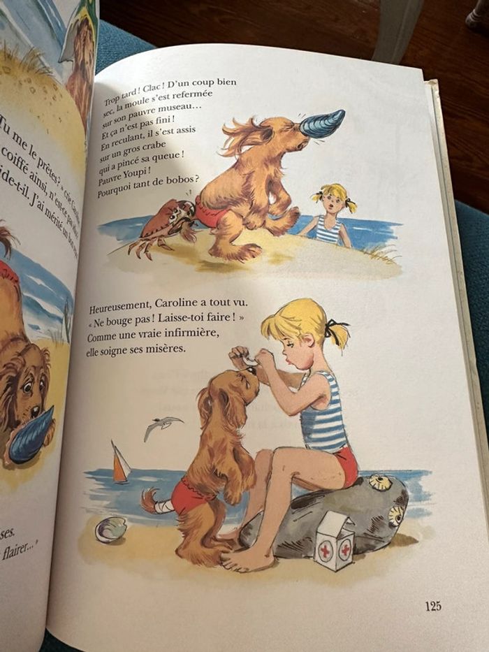 Grand album livre 156 pages Les Amis de Caroline Pierre Probst Hachette Jeunesse reliure bleu - photo numéro 8