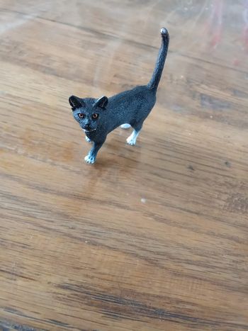 Chat Schleich