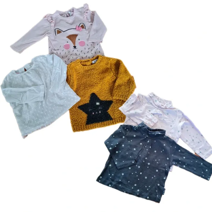 Lot bébé fille 9 mois pull/sous pull