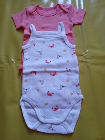 lot 2 bodies fille tex baby 71 cm 9 mois
