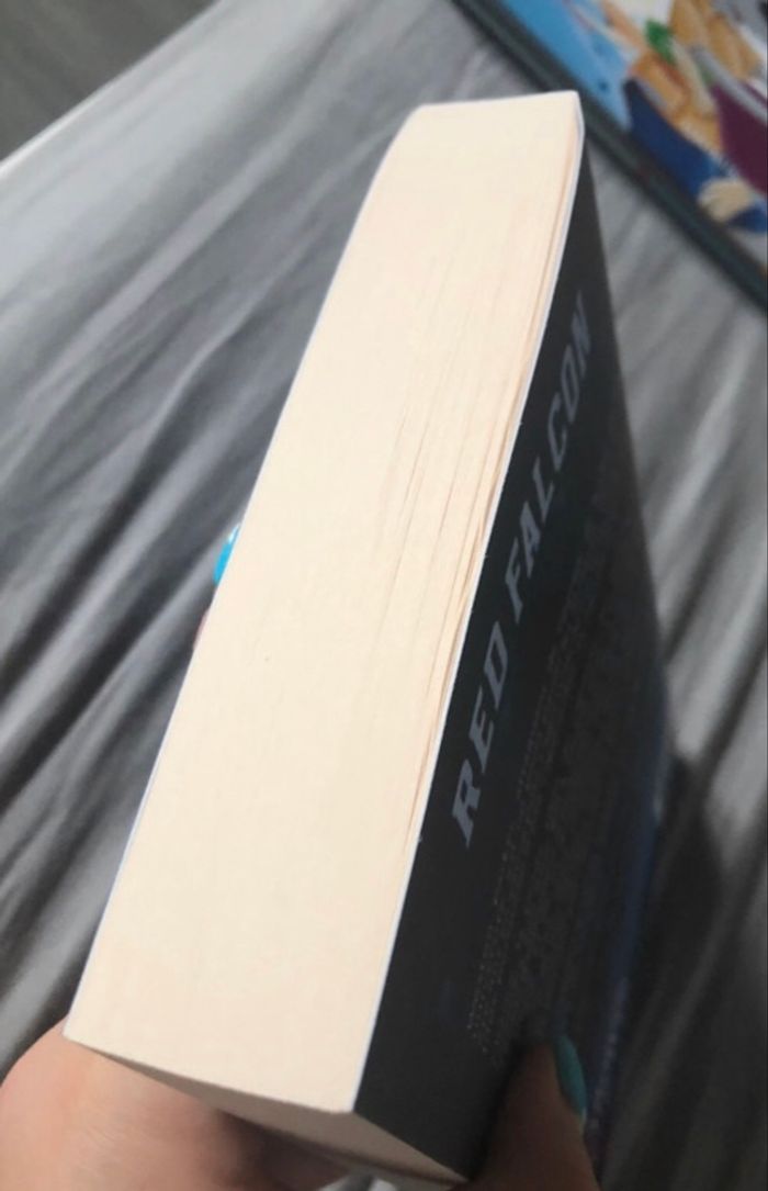 Red falcon - photo numéro 5