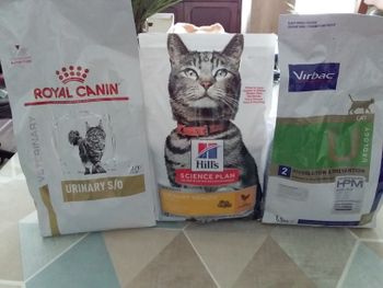 lot croquettes chat