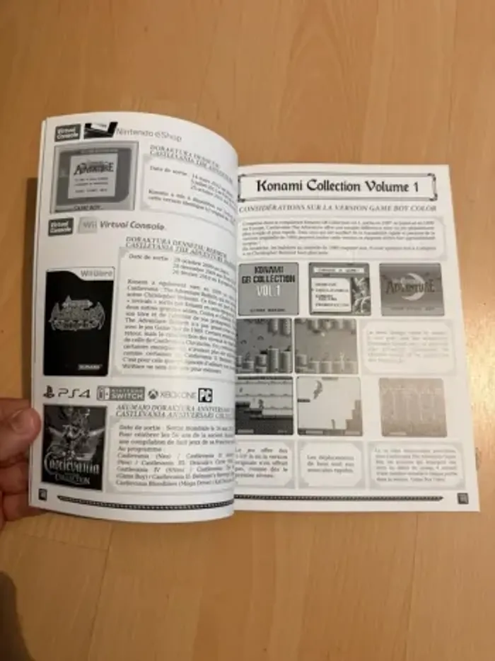 guide castlevania adventure - photo numéro 2