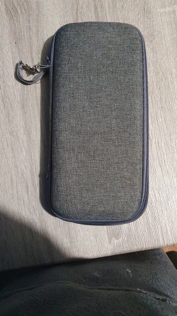 Pochette de switch lite