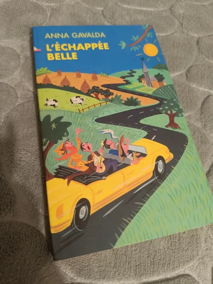 Livre Anna gavalda l'échappée belle