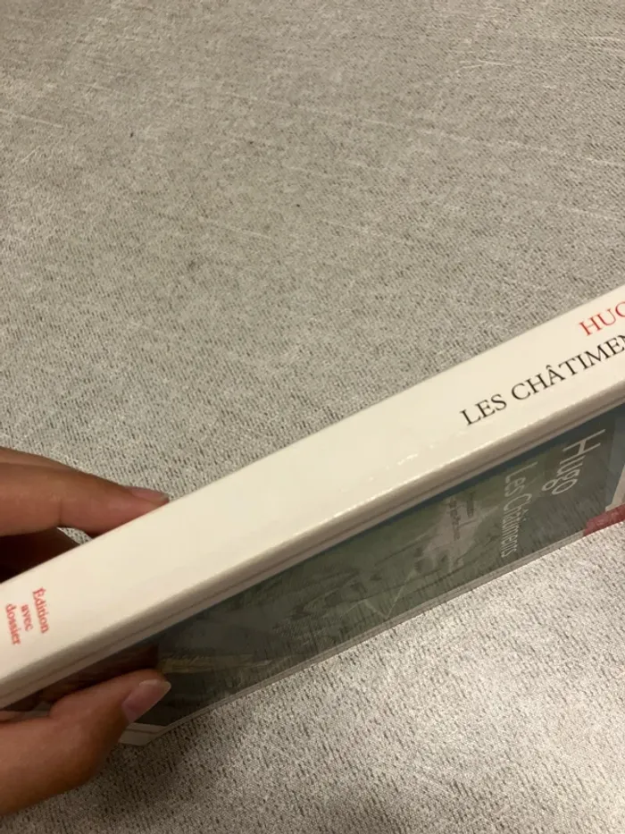 Victor Hugo – Les Châtiments - photo numéro 3