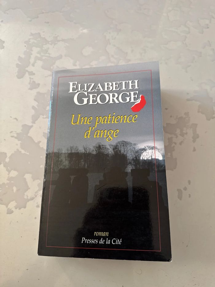 Livre une patiente d’ange - Elizabeth George