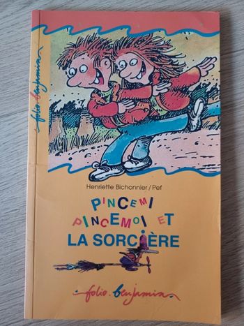 Livre Pincemi Pincemoi et la sorcière