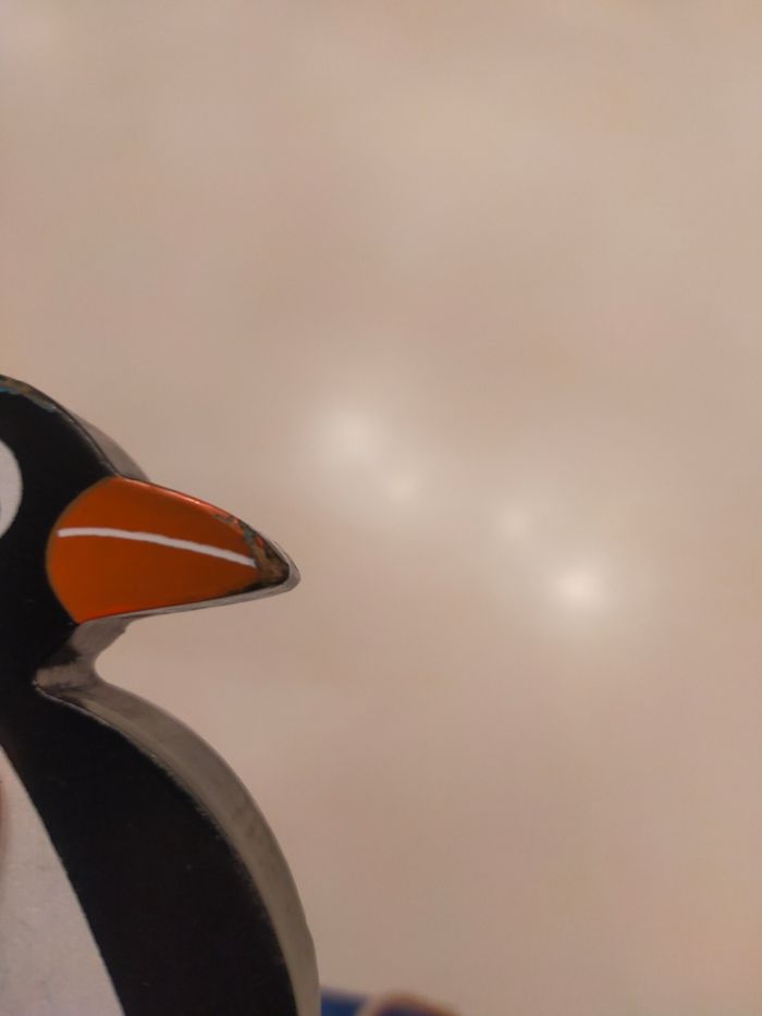 Pingouin a tiré - photo numéro 3