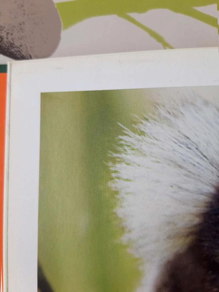 Livre :  Le monde  merveilleux des animaux  en  photos les singes - photo numéro 9