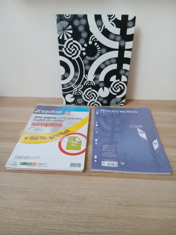 Lot 1 classeurs A4 + 2 paquets de feuilles petits carreaux