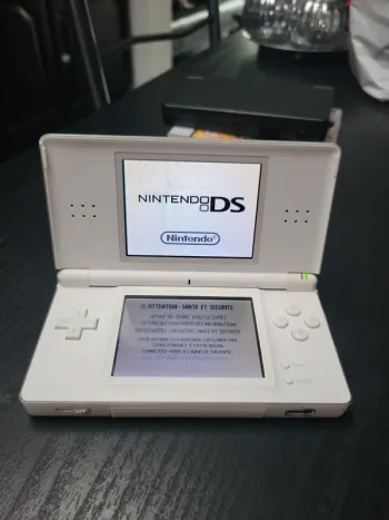 Nintendo DS Lite.