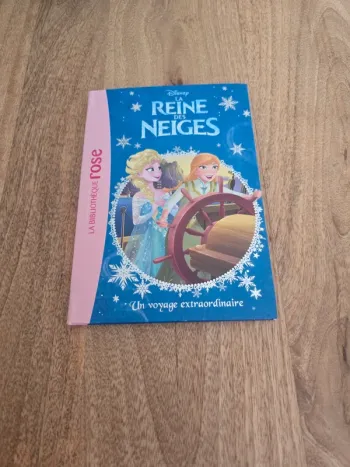 Livre disney la reine des neige