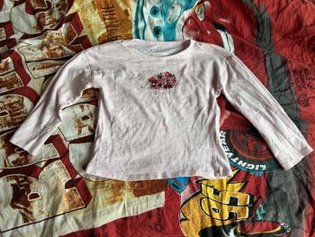 Tee shirt manches longues / haut hérisson 4 ans in extenso