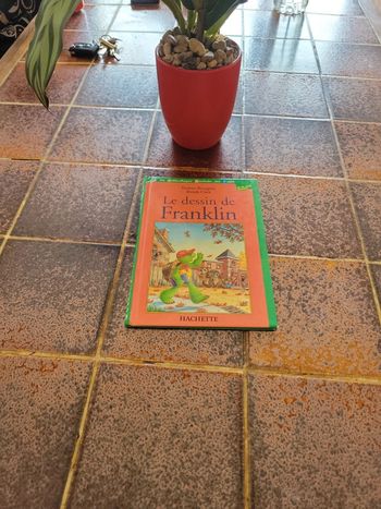 Le dessin de Franklin