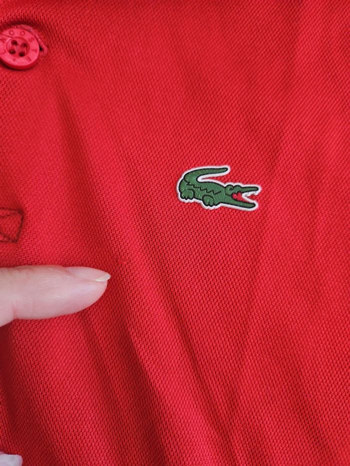 Polo garçon 10/12 ans lacoste  cont6 - photo numéro 8