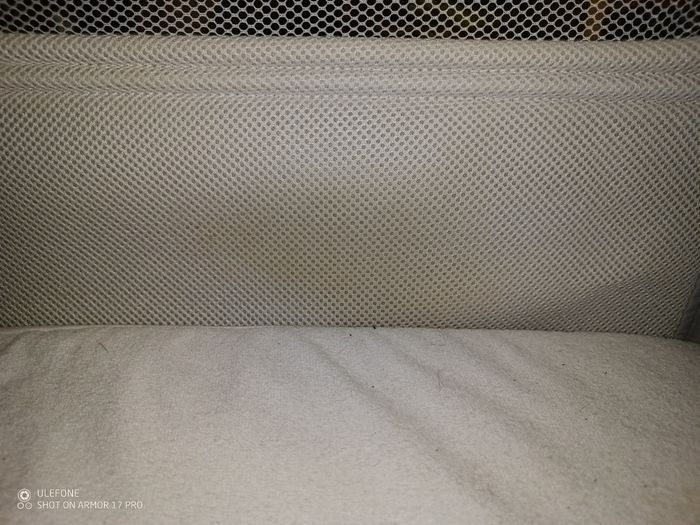 Cododo chicco - photo numéro 5