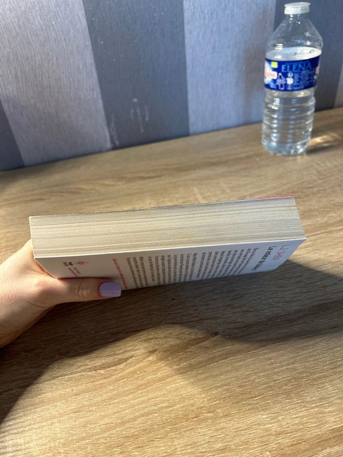 Livre le voleurs de baisers - photo numéro 4