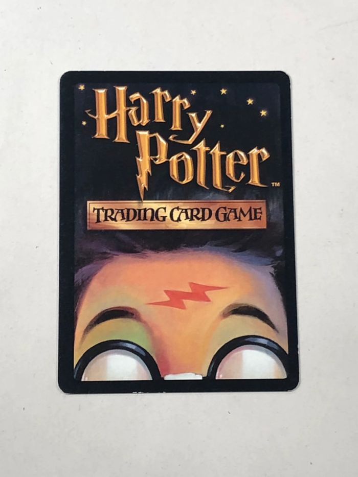 Carte harry potter mésaventure magique - photo numéro 2