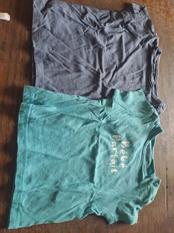 Lot de 2 t'shirt