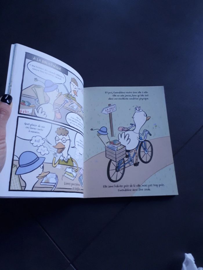 Livre des canards trop bizarres - photo numéro 7