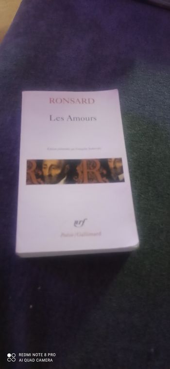 Livre les amours ronsard