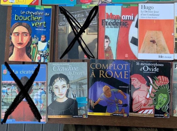 Livres de poche de scolarité collège lycée TBE hugo molière voltaire etc - photo numéro 3
