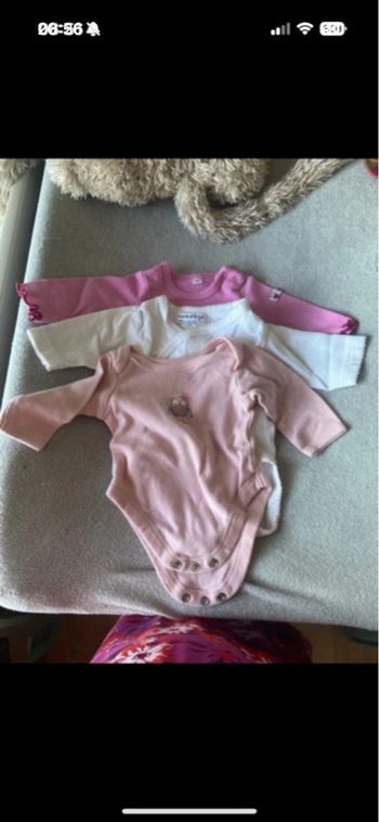 Lot 3 bodies