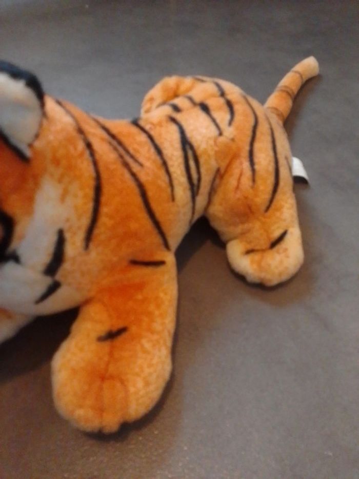 Tigre - photo numéro 3