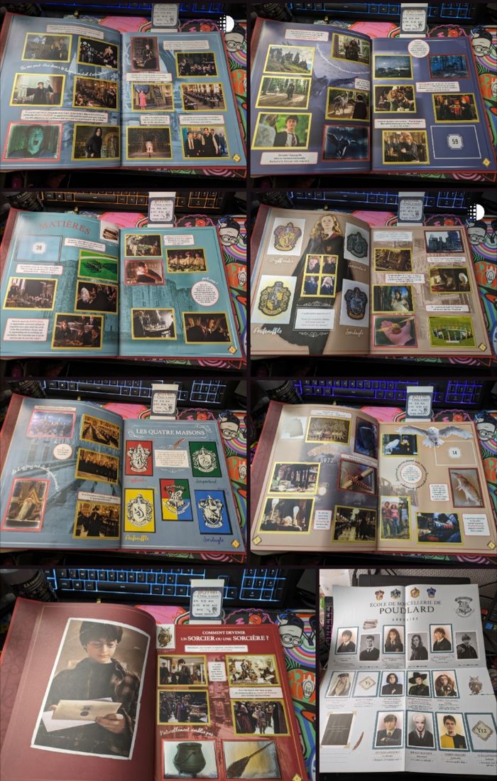 Panini - Harry Potter : Le manuel du sorcier (2021) - photo numéro 2