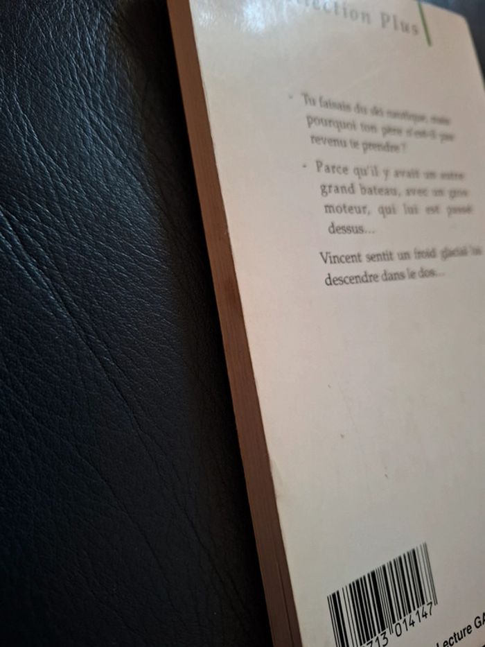 Livre " L'inconnue du bateau fantôme " - photo numéro 4