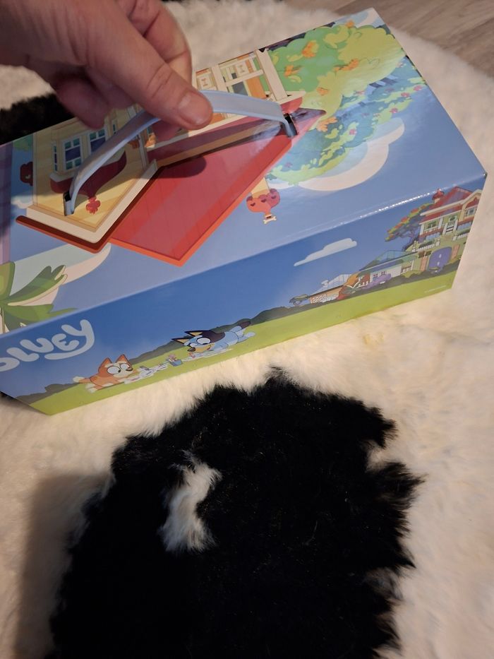 Bluey - photo numéro 9