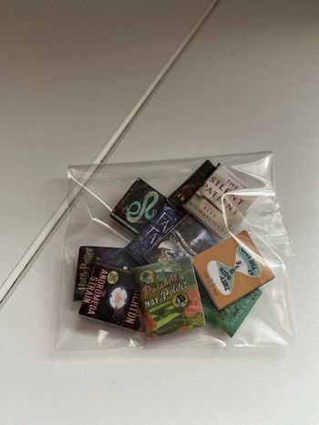 Lot de 10 livres miniatures pour maison de poupée