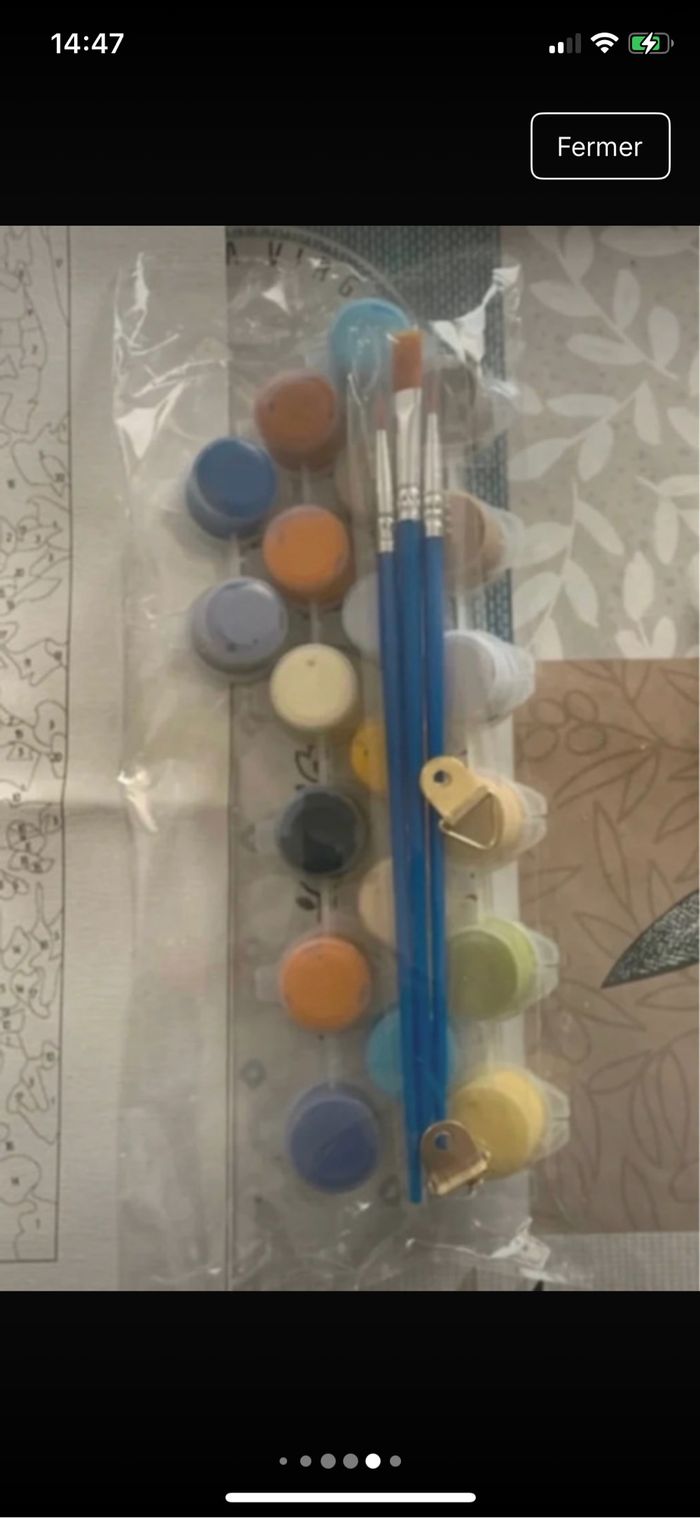 Kit complet de peinture par numéro - Neuf - photo numéro 4