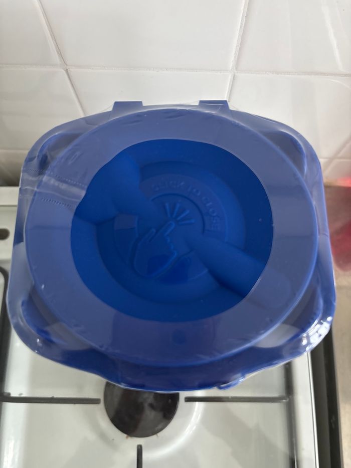 Galia calisma - photo numéro 3