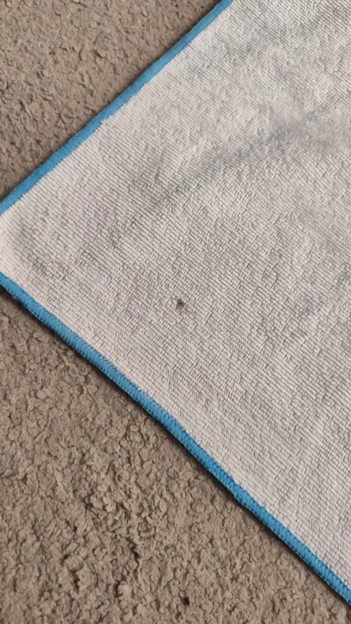 Draps de plage - photo numéro 8