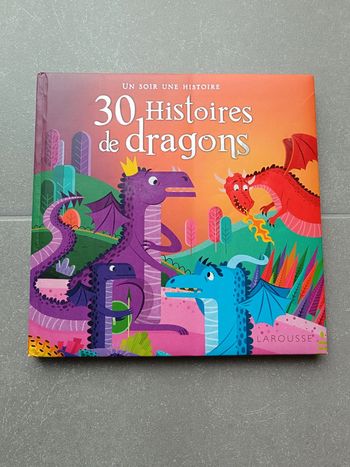Livre 30 histoires de dragons