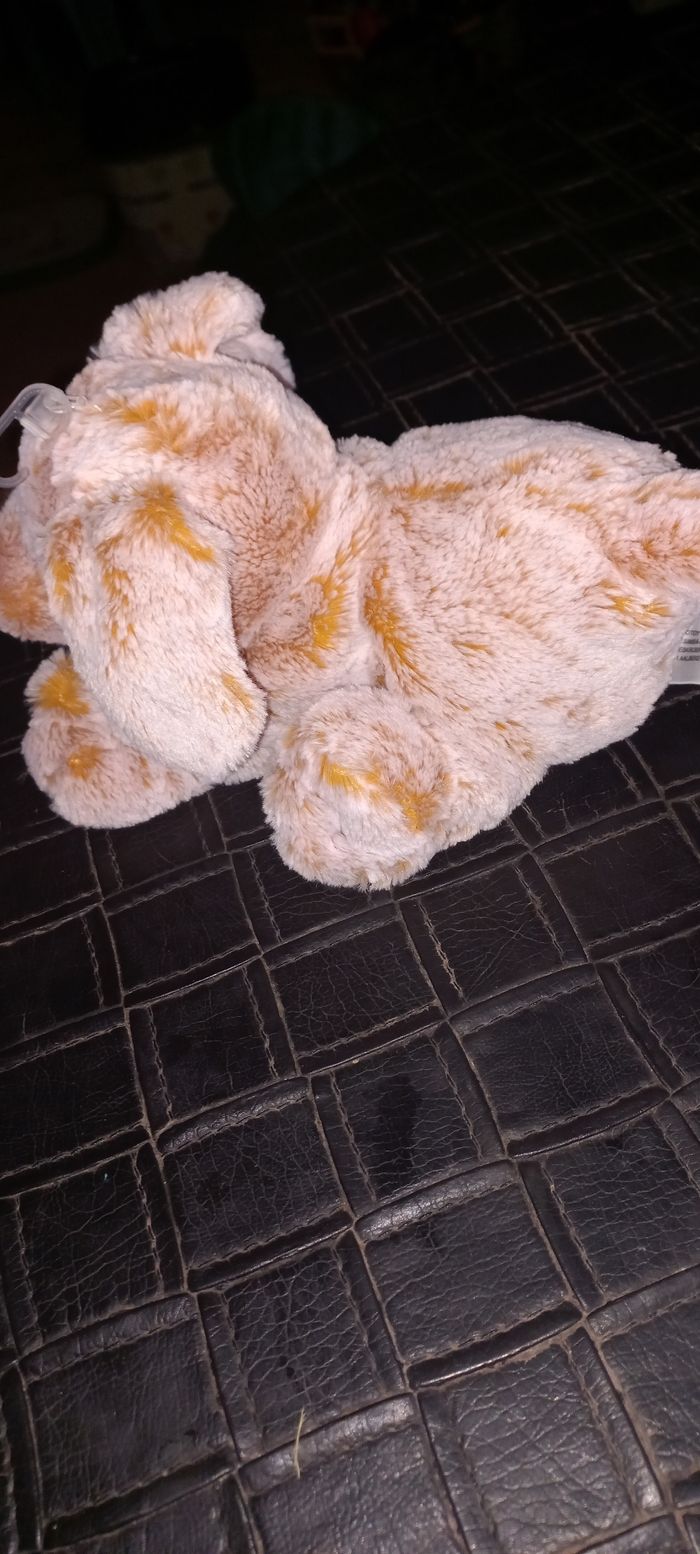 Chien doudou - photo numéro 3