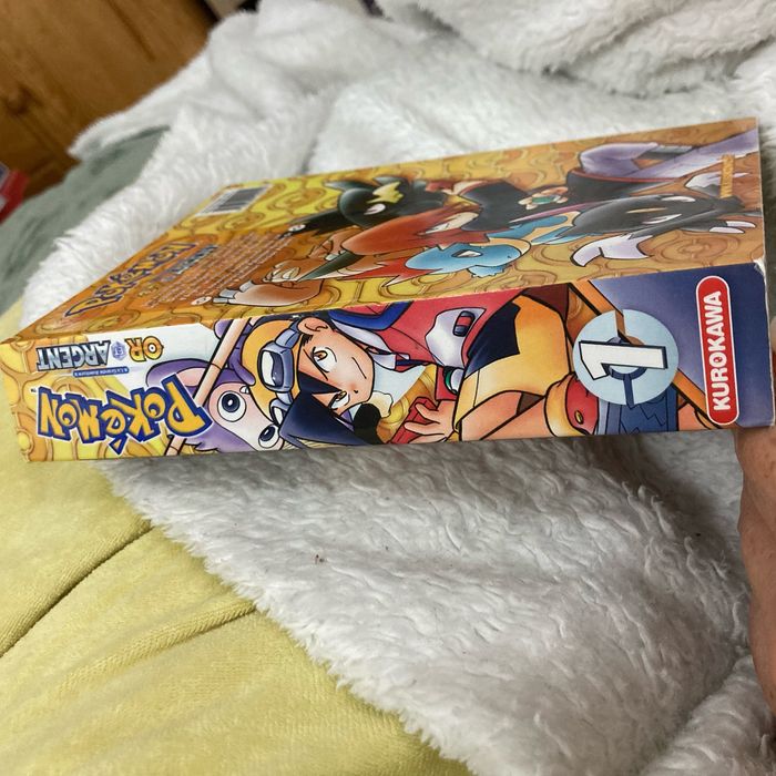 Manga Pokémon - photo numéro 3