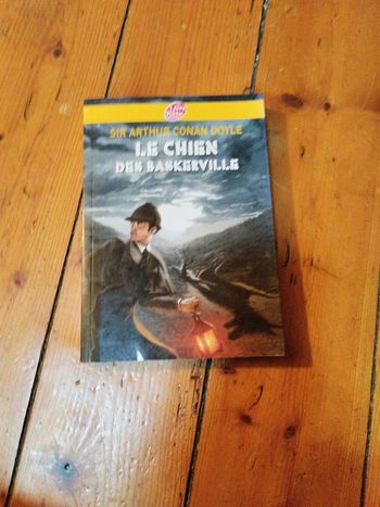 Le chien ses basketville