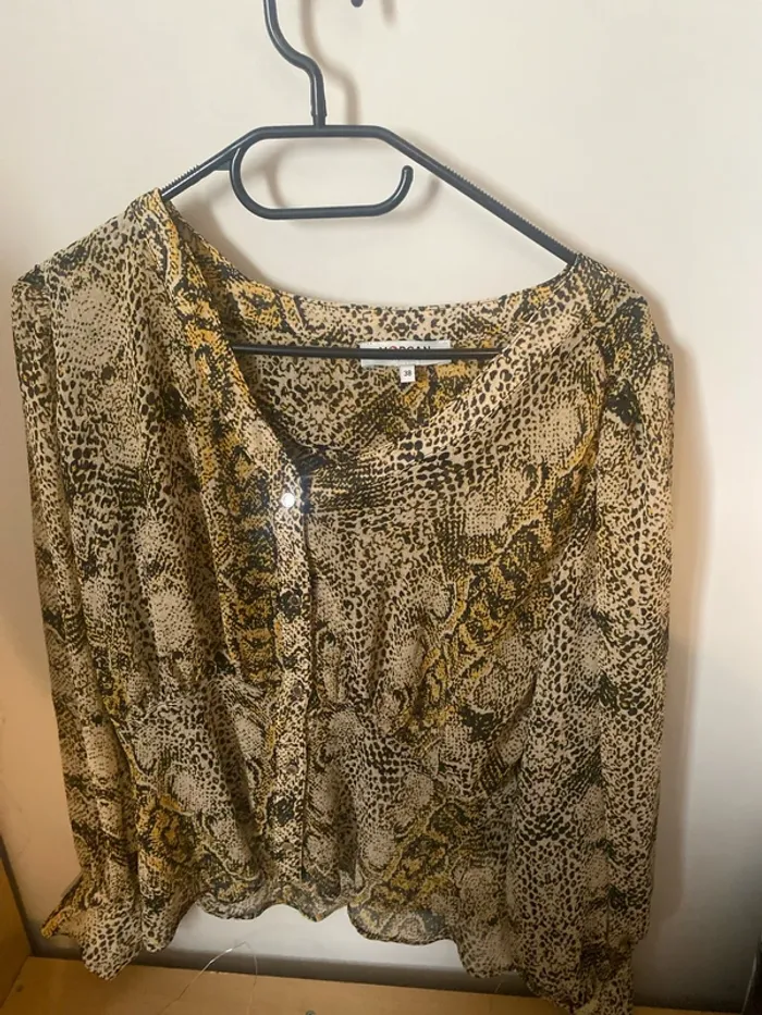 Chemisier transparente manches bouffantes