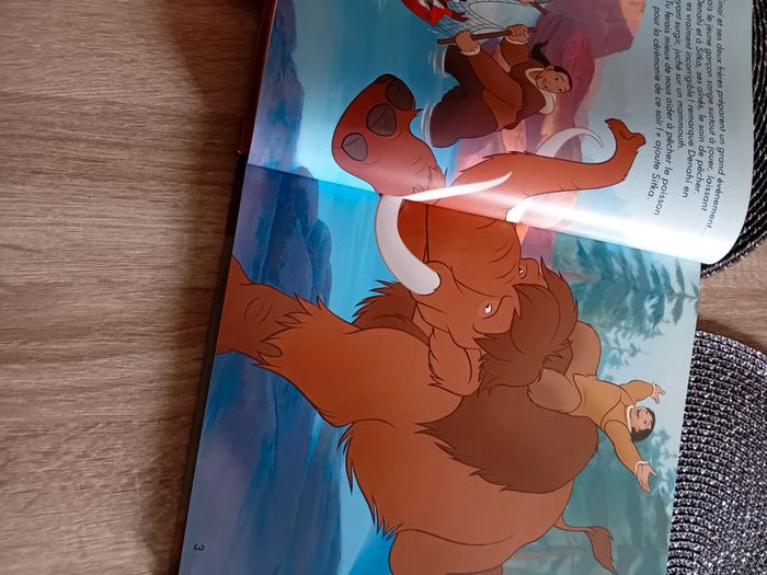 Livre Disney frère des ours - photo numéro 4