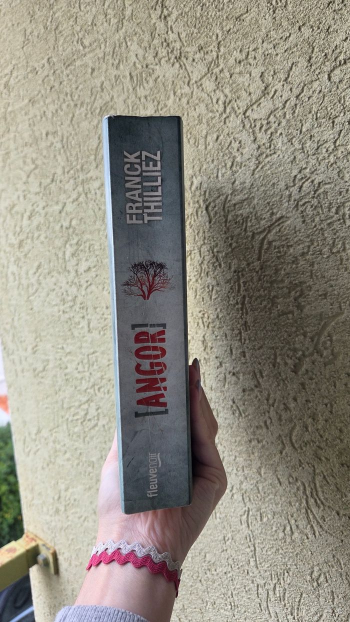 Livre Broché Angor Franck Thilliez - photo numéro 4