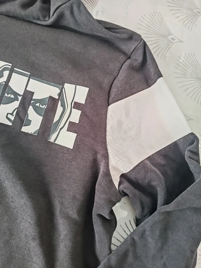 Lot 5 sweats 12 ans - photo numéro 4