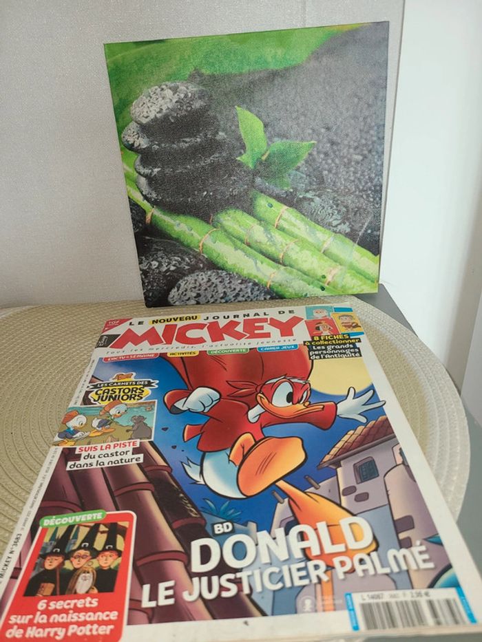 Livre Le Journal de Mickey - photo numéro 3