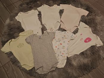 Lot de 7 bodies 6 mois