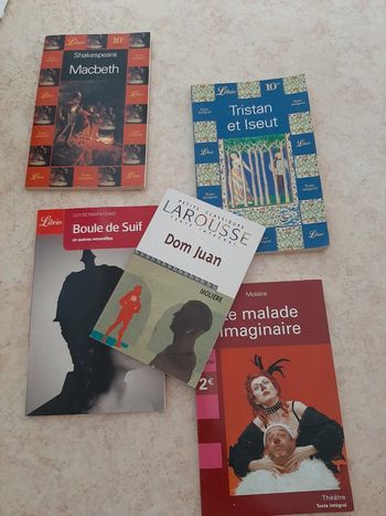 Lot livres classiques