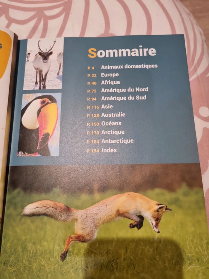 Livre enfant - photo numéro 7