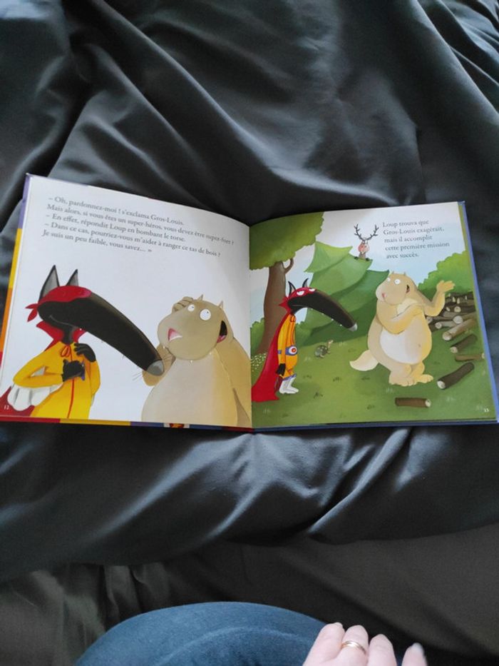 Le loup qui voulait être un super héros - photo numéro 4